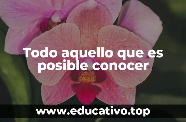 El alcance del conocimiento humano