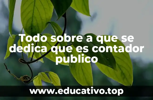 Todo sobre a que se dedica que es contador publico