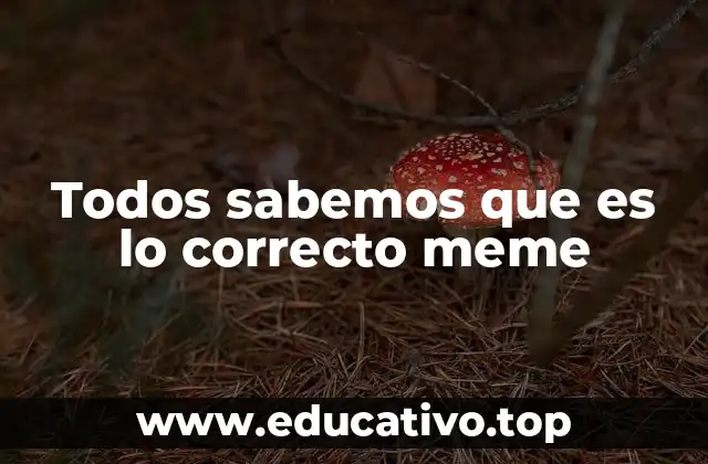 Todos sabemos que es lo correcto meme