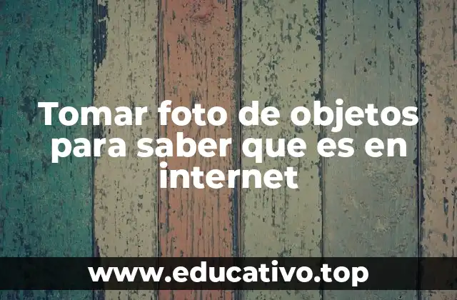 Tomar foto de objetos para saber que es en internet