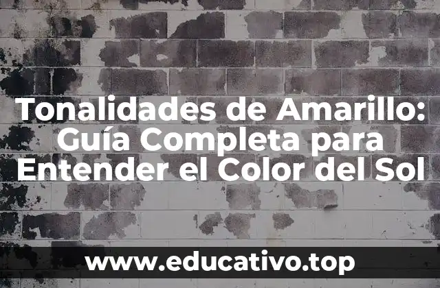 Tonalidades de Amarillo: Guía Completa para Entender el Color del Sol