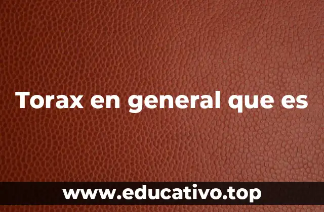 Torax en general que es