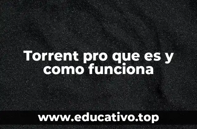 Torrent pro que es y como funciona