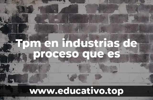 Tpm en industrias de proceso que es