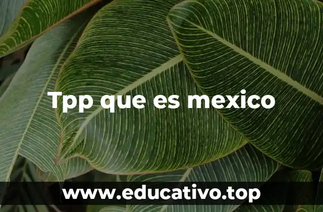 Tpp que es mexico