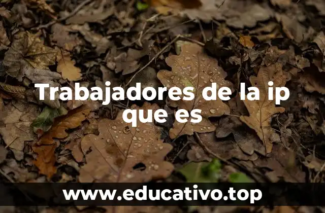 Trabajadores de la ip que es