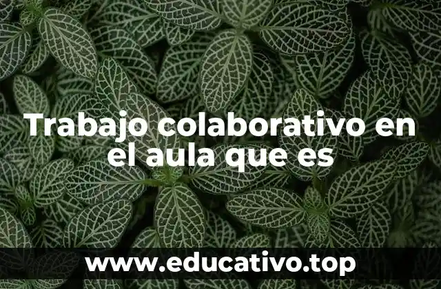 Trabajo colaborativo en el aula que es