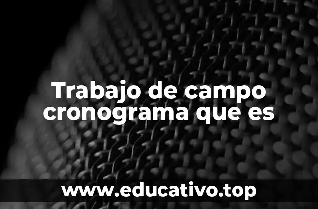 Trabajo de campo cronograma que es