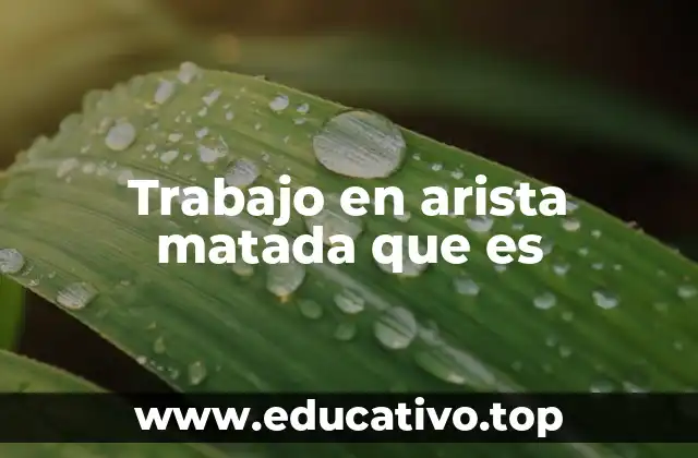 Trabajo en arista matada que es