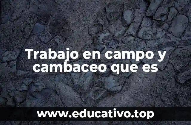 Trabajo en campo y cambaceo que es