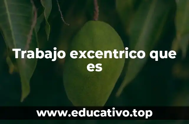 Trabajo excentrico que es