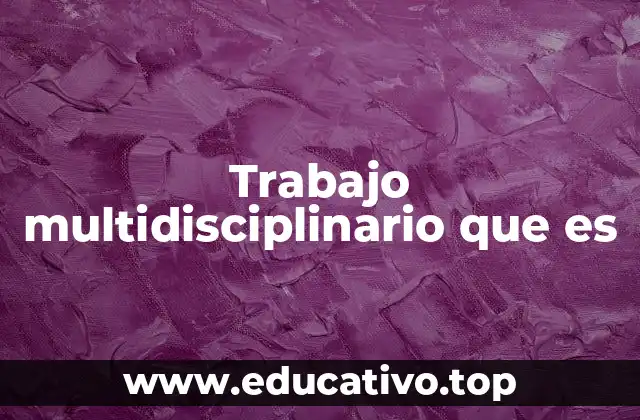 Trabajo multidisciplinario que es