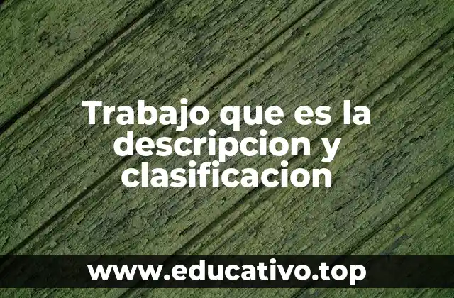 Trabajo que es la descripcion y clasificacion