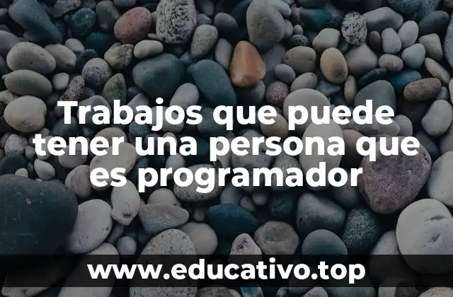 Trabajos que puede tener una persona que es programador