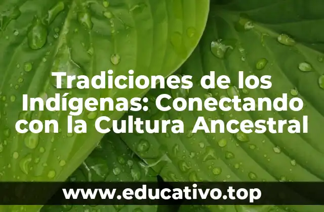 Tradiciones de los Indígenas: Conectando con la Cultura Ancestral