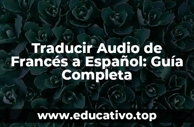 Traducir Audio de Francés a Español: Guía Completa