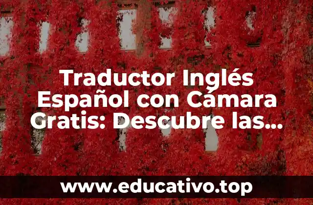 Traductor Inglés Español con Cámara Gratis: Descubre las Opciones