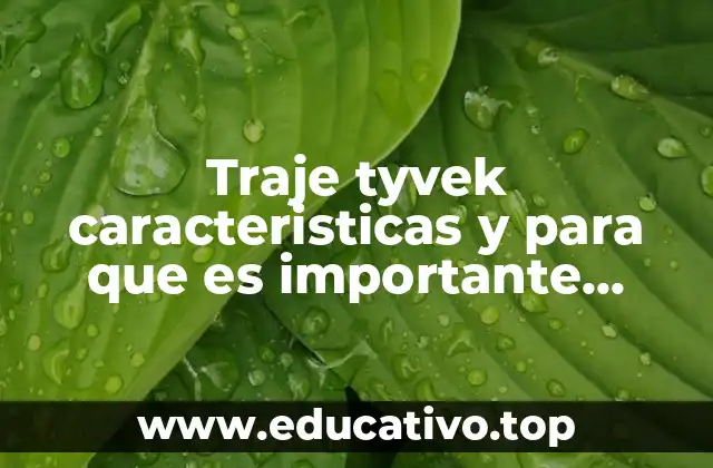 Traje tyvek caracteristicas y para que es importante usarlo