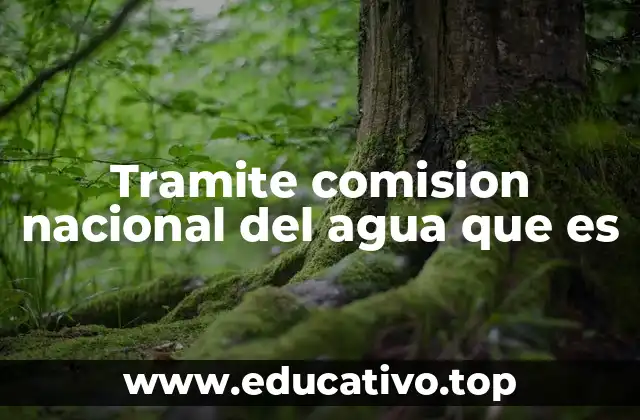 Tramite comision nacional del agua que es