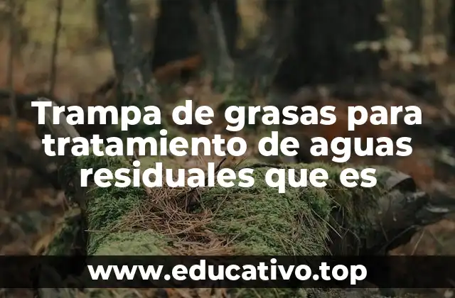 Trampa de grasas para tratamiento de aguas residuales que es
