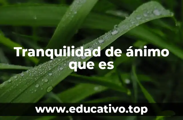 Tranquilidad de ánimo que es