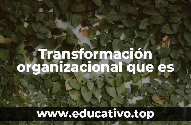 Transformación organizacional que es