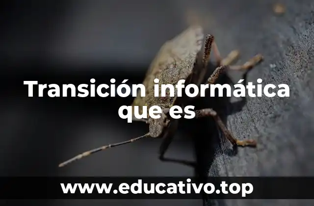 Transición informática que es