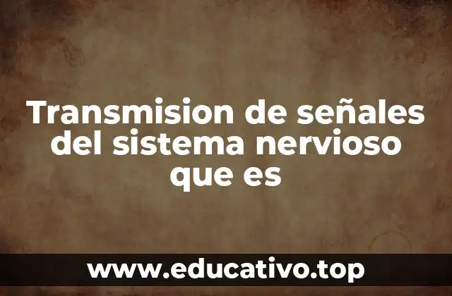 Transmision de señales del sistema nervioso que es