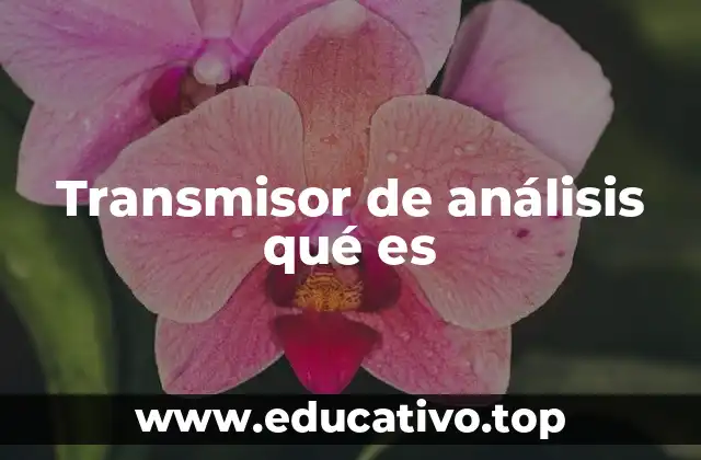 Transmisor de análisis qué es