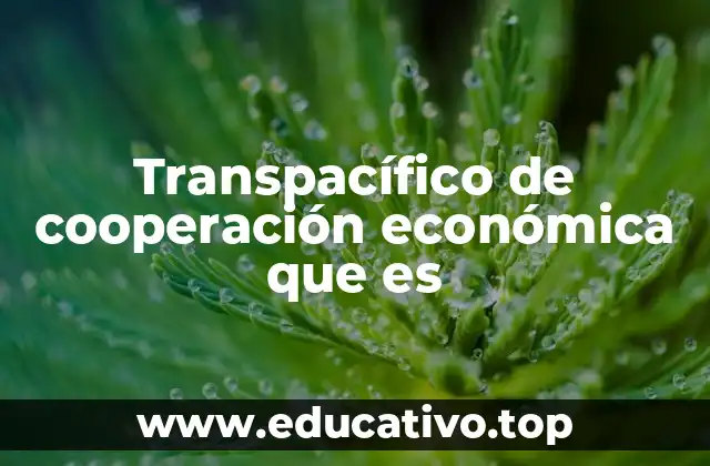 Transpacífico de cooperación económica que es