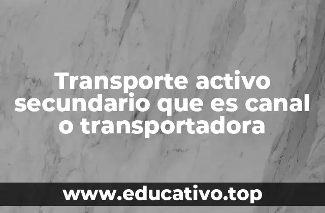 Transporte activo secundario que es canal o transportadora