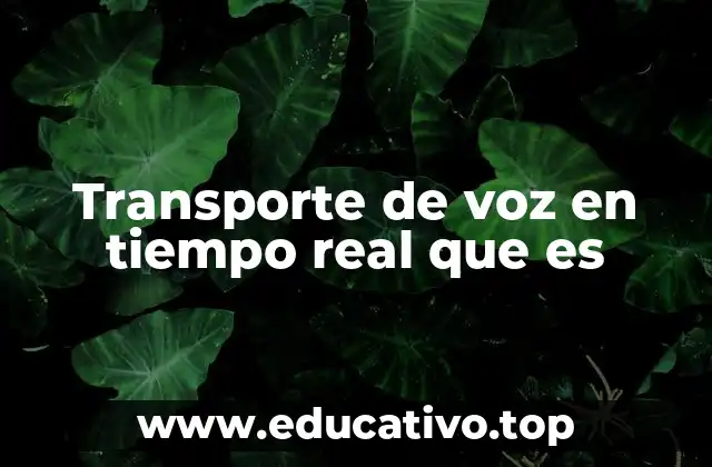 Transporte de voz en tiempo real que es