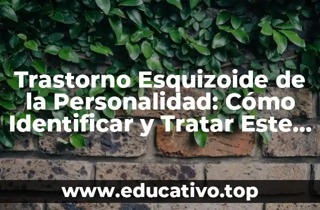 Trastorno Esquizoide de la Personalidad: Cómo Identificar y Tratar Este Desorden