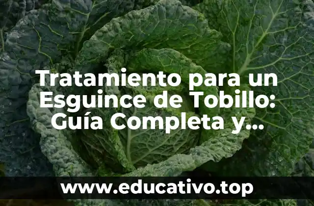 Tratamiento para un Esguince de Tobillo: Guía Completa y Detallada