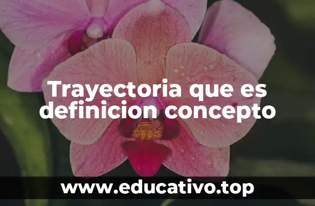 Trayectoria que es definicion concepto