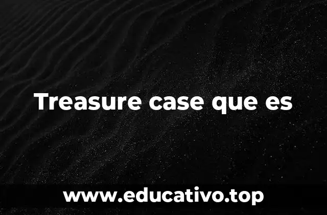 Treasure case que es
