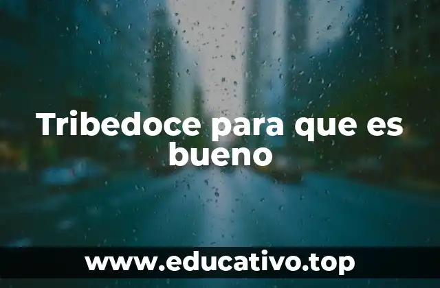 Beneficios del uso de Tribedoce en la salud digestiva