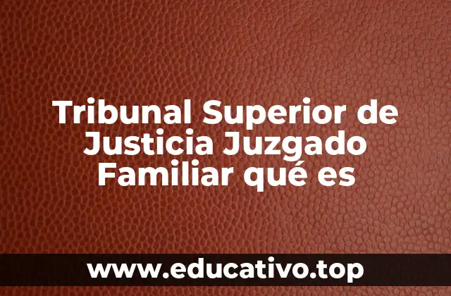 Tribunal Superior de Justicia Juzgado Familiar qué es