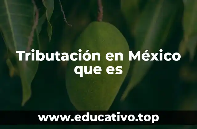 Tributación en México que es