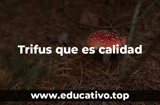 Trifus que es calidad