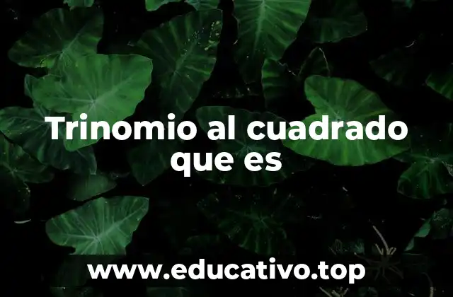 Trinomio al cuadrado que es