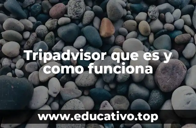 Tripadvisor que es y como funciona