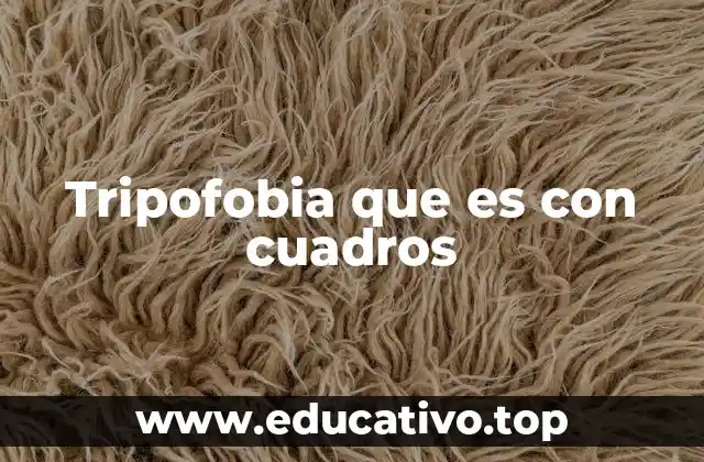 Tripofobia que es con cuadros
