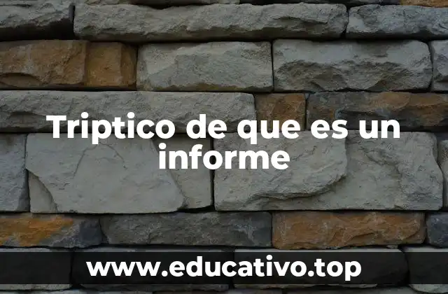 Triptico de que es un informe