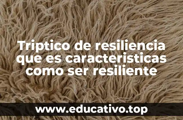Triptico de resiliencia que es caracteristicas como ser resiliente