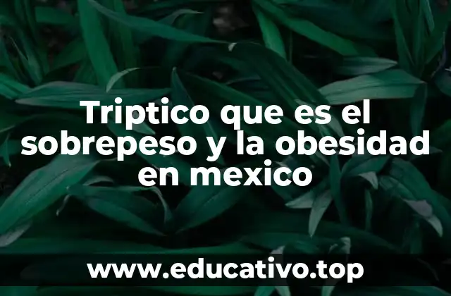 Triptico que es el sobrepeso y la obesidad en mexico