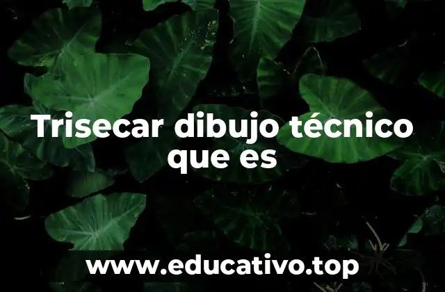 Trisecar dibujo técnico que es