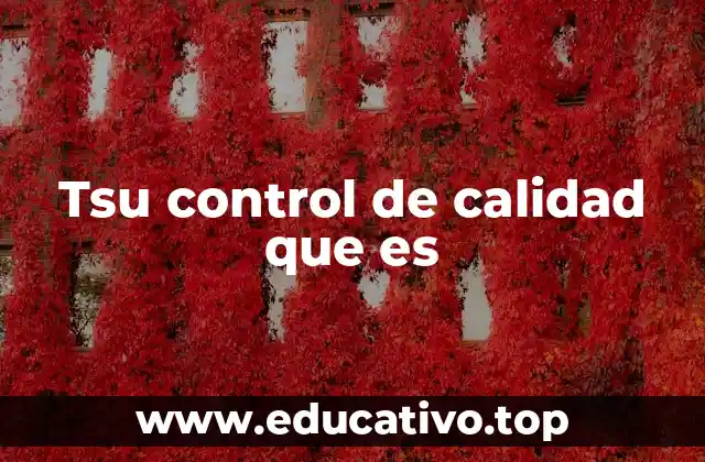 Tsu control de calidad que es