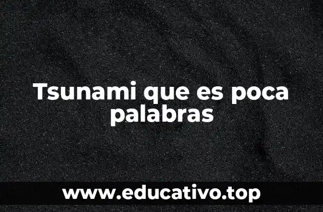 Tsunami que es poca palabras