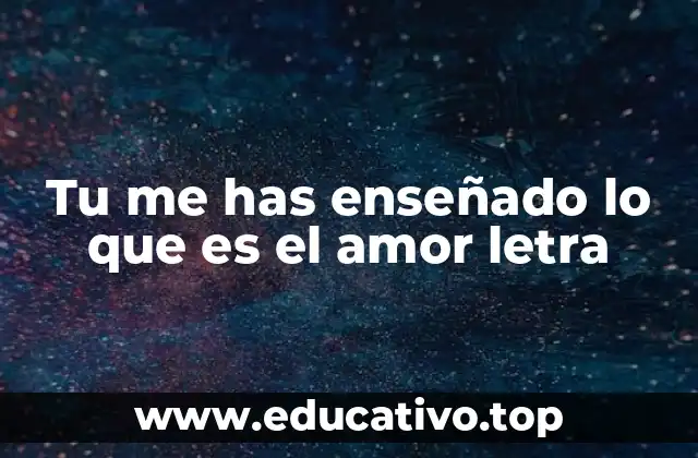 Tu me has enseñado lo que es el amor letra